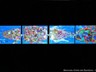 Biennale d'Arte del Bambino